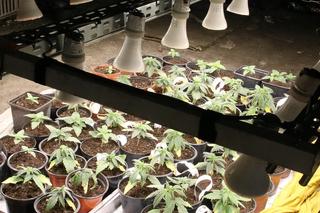 Mężczyźnie grozi więzienie