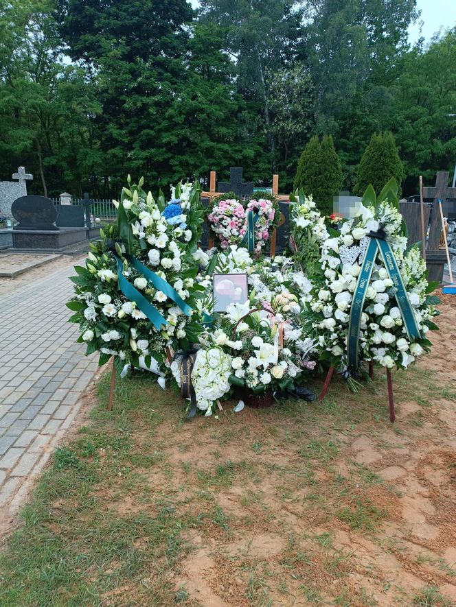 Rąbnęli w łosia, osierocili synka