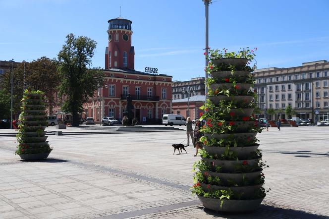 Więcej kwiatów na pl. Biegańskiego w Częstochowie. Miasto stawia na zieleń