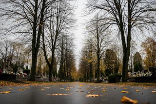 Pogoda na Wszystkich Świętych 2025 Dolny Śląsk. IMGW ma pierwsze eksperymentalne prognozy?