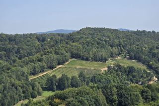 Wyjątkowa atrakcja turystyczna w Małopolsce. To stare zamczysko nad Dunajcem