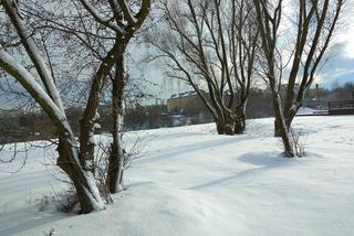 Śnieg zasypał Tarnów, teraz czas na mróz. Będzie PRZEŹLIWIE zimno