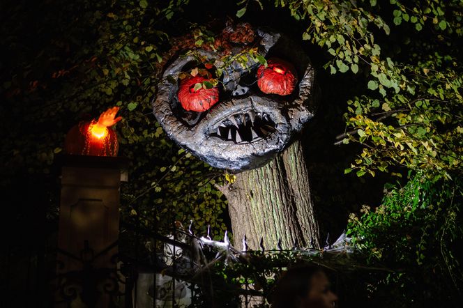 Willa na Jaśkowej Dolinie w Gdańsku