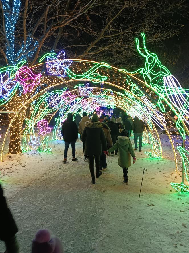 Odwiedziłam Ogród Świateł w Gdyni. Poczuj ze mną magiczny klima