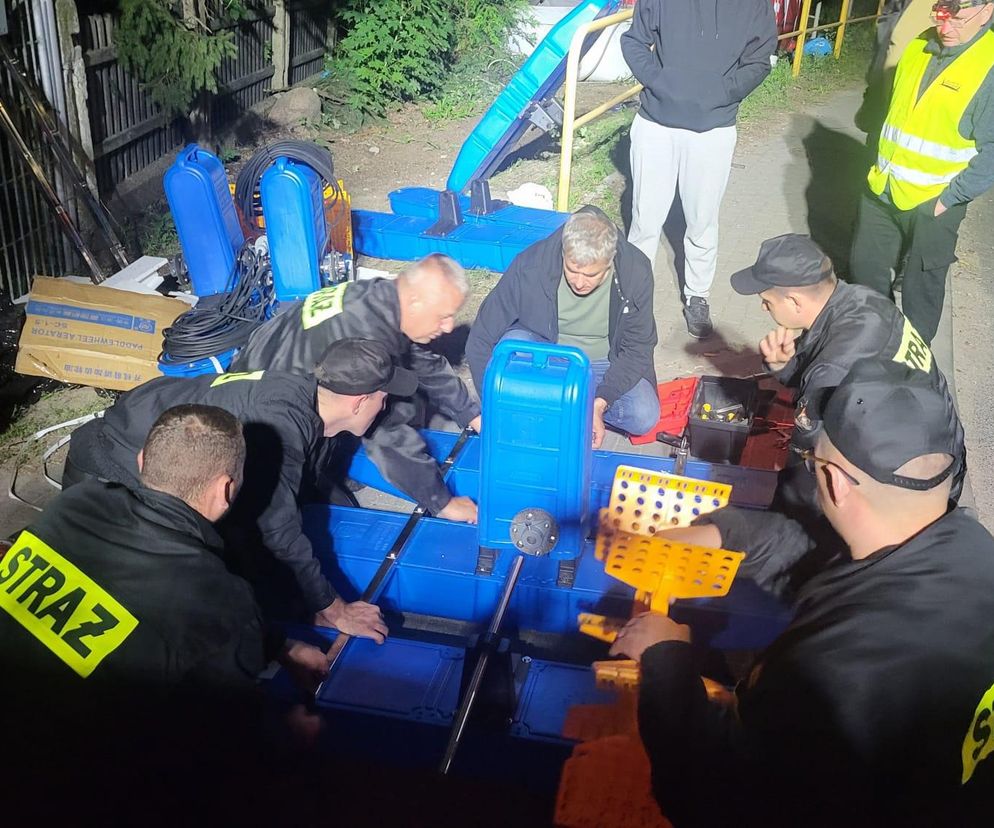 Katastrofa ekologiczna na mazowieckiej rzece. Wojewoda apeluje, aby nie korzystać z wody