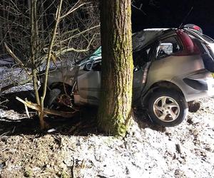 Potrącił psa, myślał, że zabił też sąsiada. Nie zniósł wyrzutów sumienia