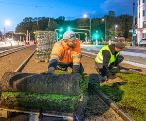Wielki powrót tramwajów na Marszałkowską. Pojadą po zielonym dywanie