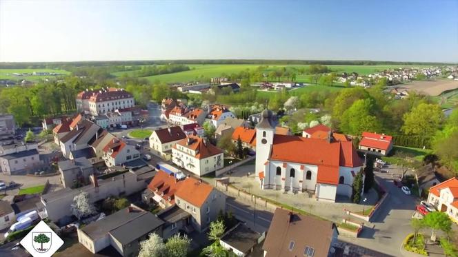 Sośnicowice - 6730 ha lasów