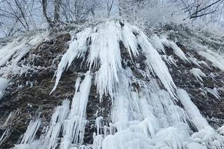 Takie cuda zima wyczarowała na Podkarpaciu. Zjeżdżają ludzie z całej Polski