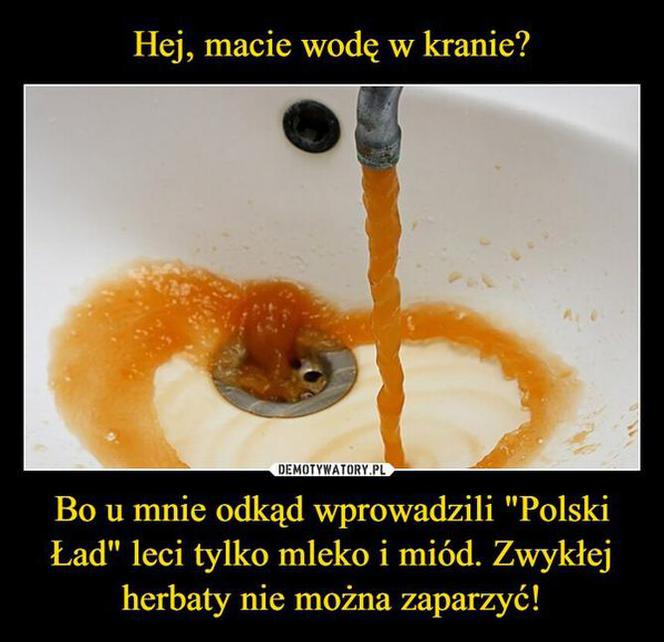 POLSKI ŁAD w oczach internautów. Zobacz najlepsze memy!