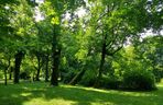 Park Miejski w Zamościu