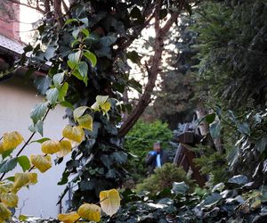 Śmiertelny atak pod Radomiem. Ojciec zginął, matka walczy o życie. Policja podejrzewa syna!