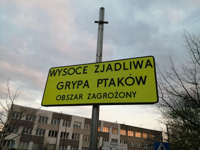 Ptasia grypa Wrocław