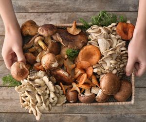 Quiz. Znasz się na grzybach? Mocno się zdziwisz. Odpowiedz chociaż na 4 pytania