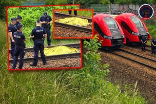 Tragedia na torach. Nie żyje człowiek potrącony przez pociąg. Służby na miejscu, ruch wstrzymany