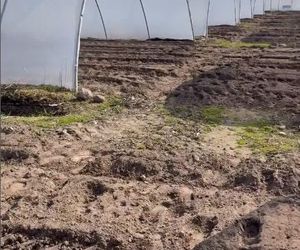 Nowa dziewczyna Rafała Gajdy to prawdziwa piękność! Rolnik zabrał ją na Bahamy