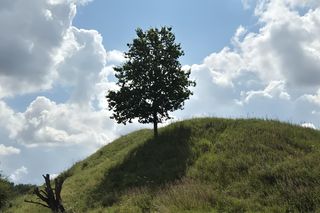 Dawne grodzisko Galindów na Mazurach ukryte przed światem. Prawie nikt o nim nie słyszał