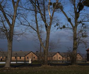  W poniedziałek 80. rocznica wyzwolenia niemieckiego obozu zagłady Auschwitz–Birkenau