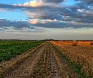 Są pieniądze na przebudowy dróg i sadzonki drzew - dofinansowania trafią do 10 gmin powiatu kaliskiego