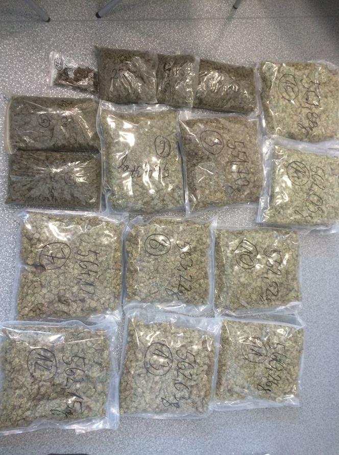 Policjanci zabezpieczyli 7 kg marihuany i 4,5 grama amfetaminy w podkrakowskim garażu