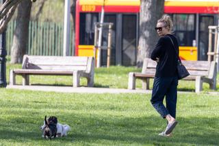 Bohosiewicz sprząta po piesku