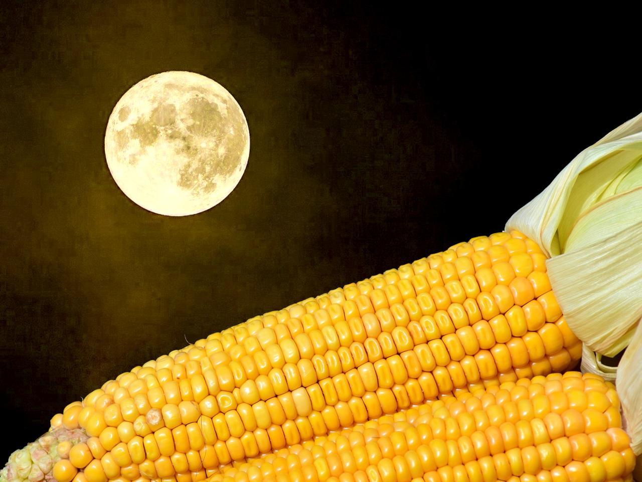 Pełnia Kukurydzianego Księżyca 2021. To ostatnie takie zjawisko tego lata