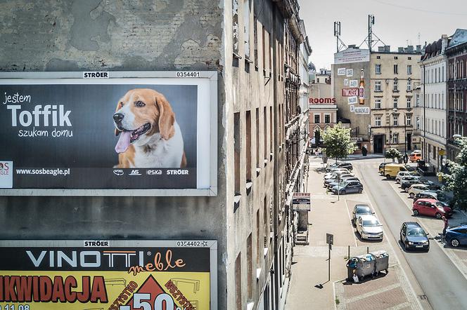 Katowice: Widzieliście ten billboard? Ma ważny przekaz! [ZDJĘCIE]