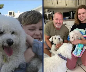 Myśleli, że stracili psa na zawsze. Odnalazł się po 12 latach. Zaskakujące, że pomogła w tym jedna, maleńka rzecz
