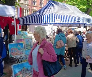 Piknik nad Odrą