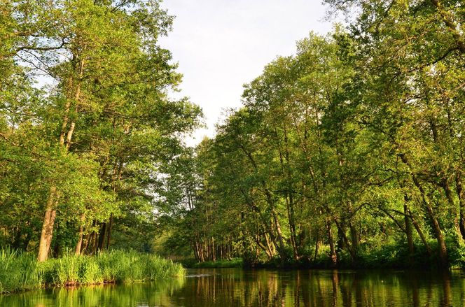 Najlepsze trasy wodne na Podlasiu na letni weekend