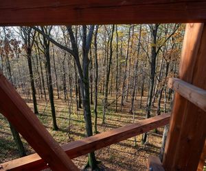 Nowa wieża widokowa w Małopolsce już otwarta. Warto wybrać się tam zwłaszcza jesienią