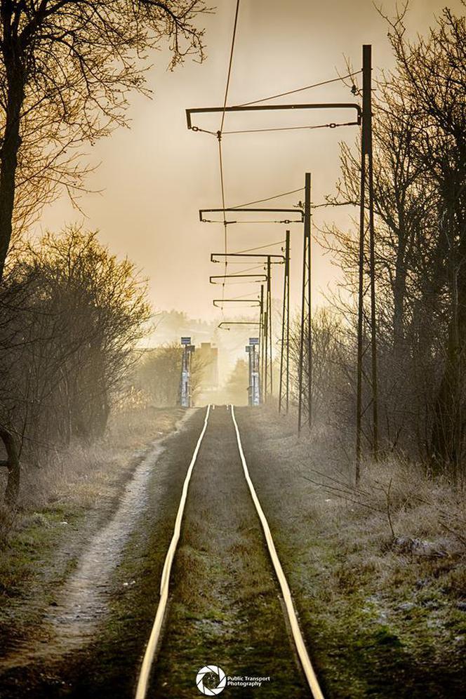 Kiedy komunikacja jest pasją...