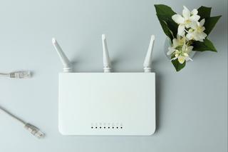 Tych urządzeń lepiej nie odłączać od prądu! Możesz je trwale uszkodzić!