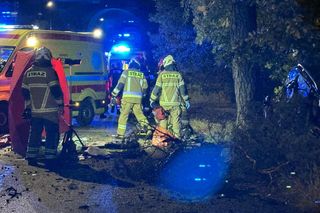 Dwa samochody rozbite, jeden uderzył w drzewo. Wielu rannych w tym 4 osoby nieletnie