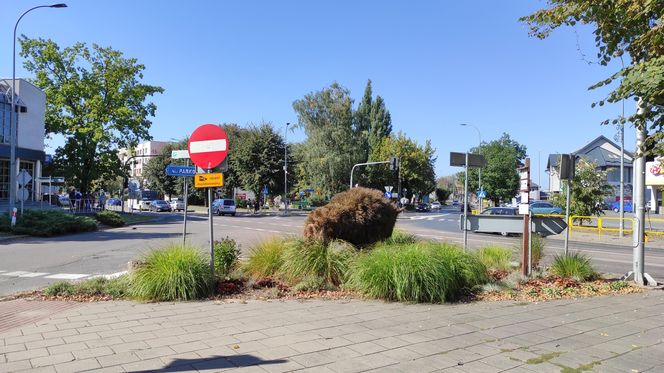 Hajnówka