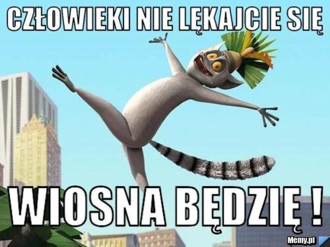 Pierwszy Dzień Wionsy - memy