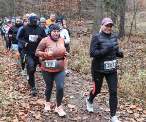 Katowicki City Trail jak zwykle ze znakomitymi biegaczami i biegaczkami. Zobacz zdjęcia ze sportowej imprezy