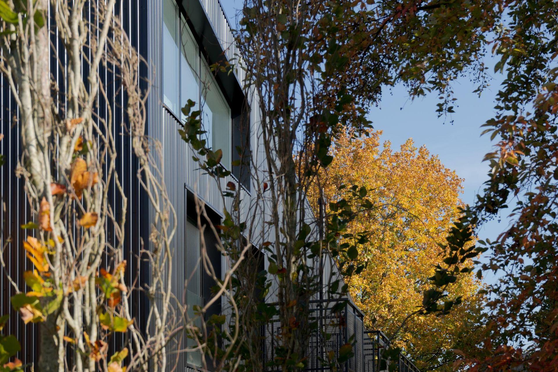 Domy z Żaglami Solarnymi w Krakowie