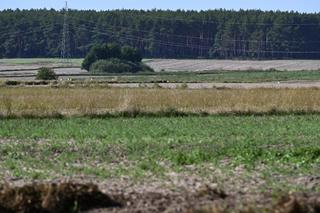 Poszukiwania obiektu powietrznego w woj. lubelskim zakończyły się. Bez efektu