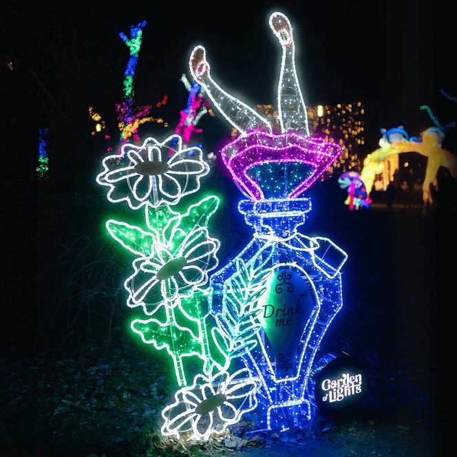 Śląsk zamienia się w Krainę Czarów. Ta magiczna wystawa świateł to absolutny hit jesieni i zimy