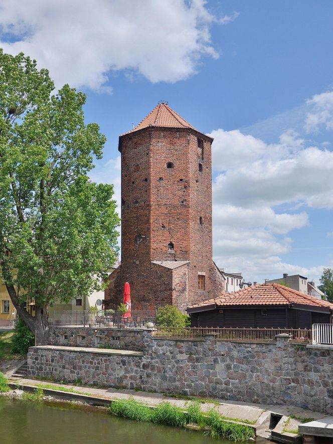 Brodnica