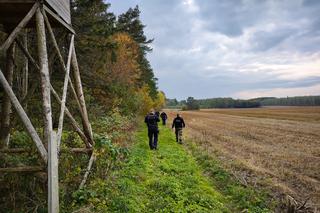 Mieszkanka Białegostoku zgubiła się na grzybobraniu. Przeszła 30 km zanim została znaleziona