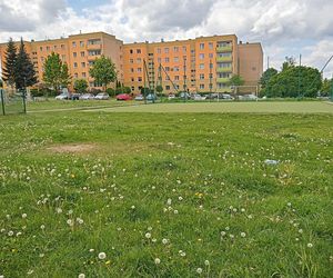 W Kielcach wybudowali pół boiska i trafili do czarnej księgi! Z tej inwestycji śmieją się w Polsce