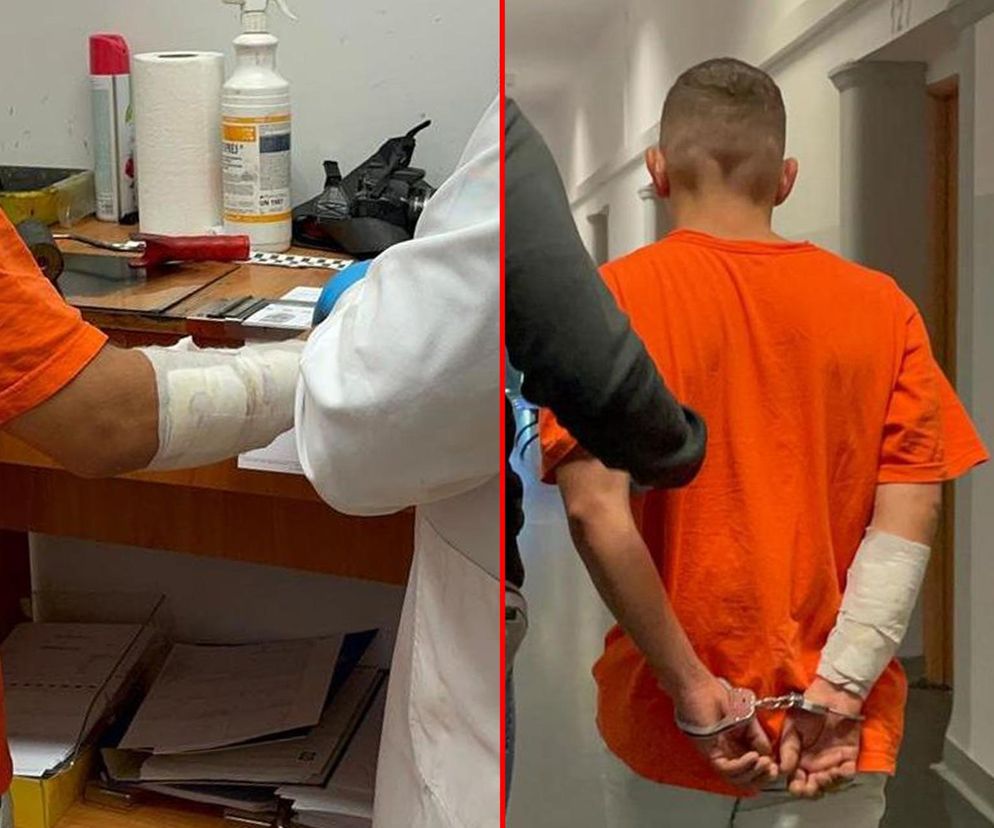 28-latek odkręcił gaz i zabił dwa psy. Jego była partnerka ledwo uszła z życiem!