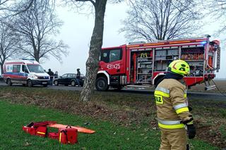 Śmiertelny wypadek pod Wschową! 49-latka nie miała szans po uderzeniu w drzewo i dachowaniu [ZDJĘCIA].