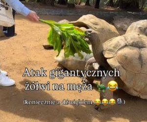 Maciej Orłoś, Paulina Orłoś