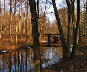 To miejsce w woj. podlaskim najbardziej kojarzy się z jesienią. AI tak uzasadnia swój wybór