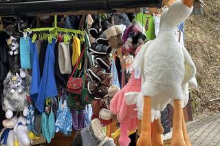 Nowy HIT na Krupówkach. Zakopane opanowała pewna... gęś