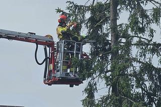 Trąba powietrzna przeszła na Podkarpaciu