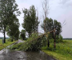 Burze w Świętokrzyskiem. W Ćmielowie zapadła się droga 